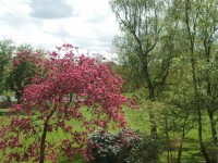 /album/fotogallerij/a2012-05-05-12-22-00-jpg/